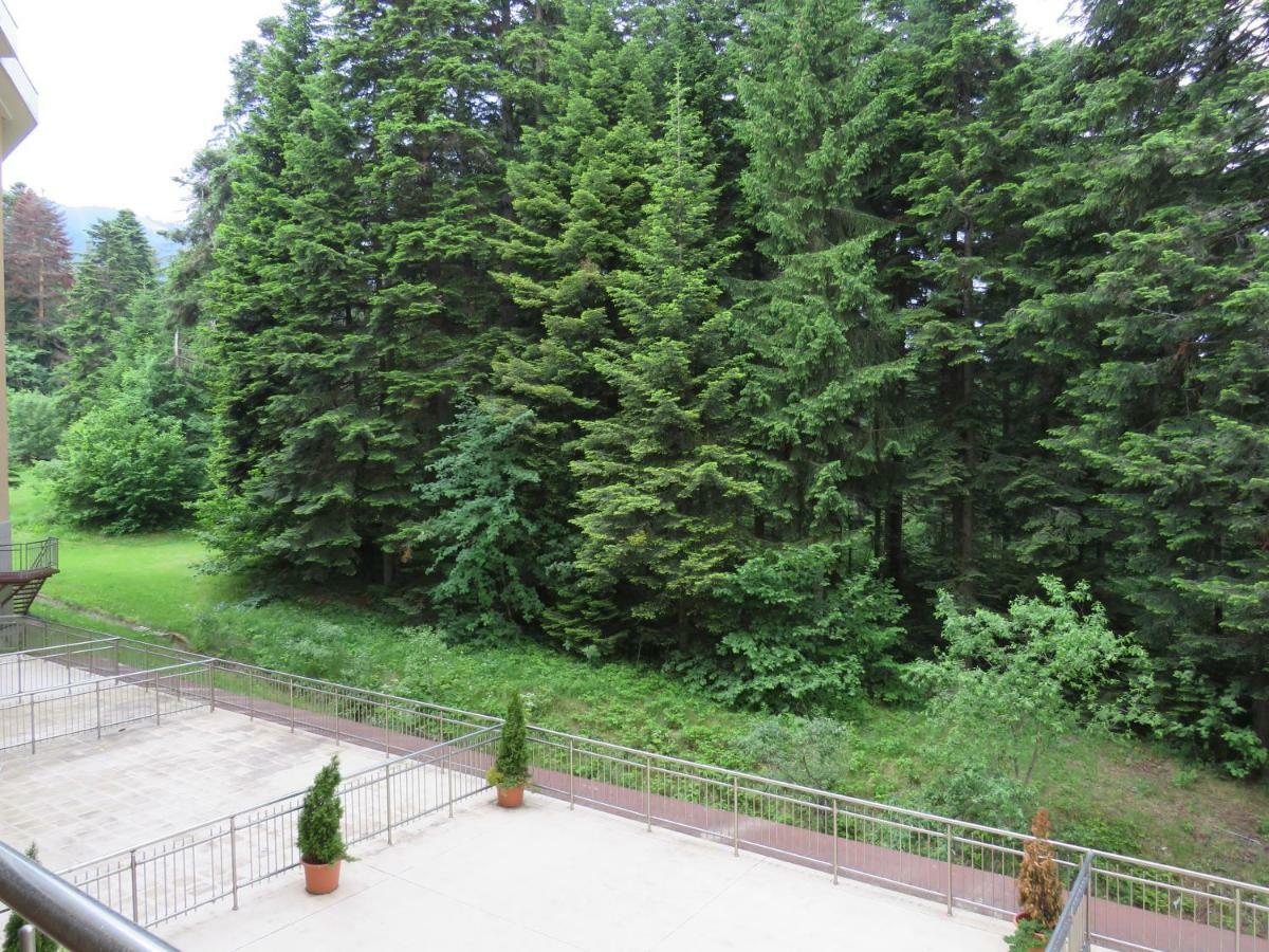 Rivendell Flora Complex Apartament Boroveț